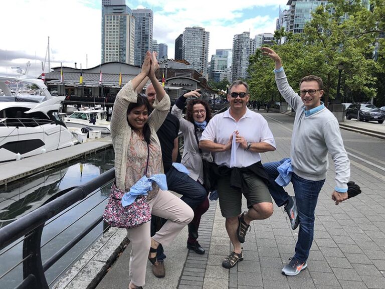 wild goose chase amex